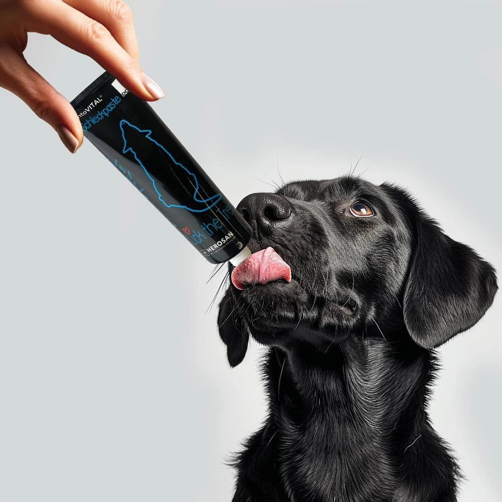 Hersoan entoVITAL DOG Schleckpaste Insekten 100g