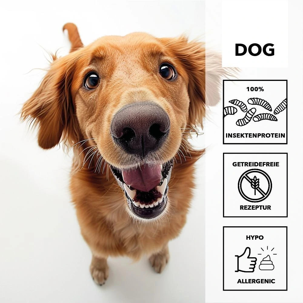 Hersoan entoVITAL DOG Schleckpaste Insekten 100g