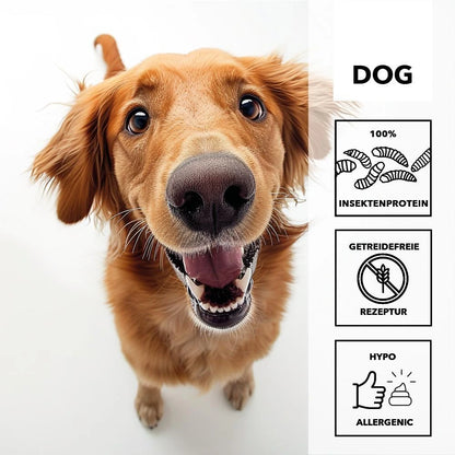 Hersoan entoVITAL DOG Schleckpaste Insekten 100g