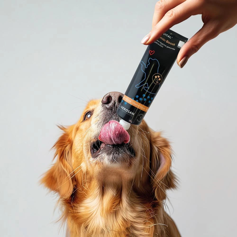 Hersoan entoVITAL DOG Vitamin Boost ADULT 100g