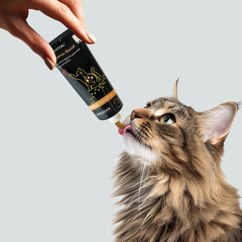 Herosan entoVITAL CAT Vitamin Boost Paste 70g