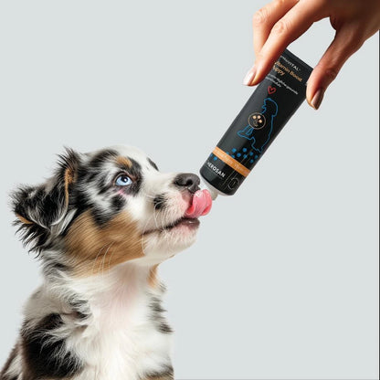 Hersoan entoVITAL DOG Vitamin Boost PUPPY 100g