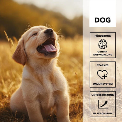 Hersoan entoVITAL DOG Vitamin Boost PUPPY 100g