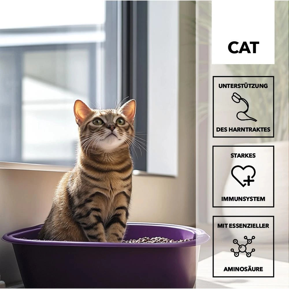 Herosan entoVITAL CAT uro care Paste 70g