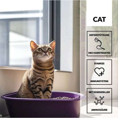 Herosan entoVITAL CAT uro care Paste 70g