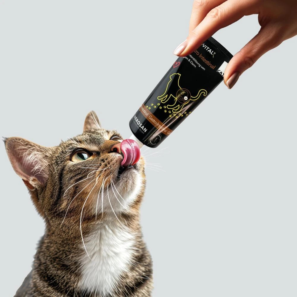 Herosan entoVITAL CAT gastro intestinal Paste 70g