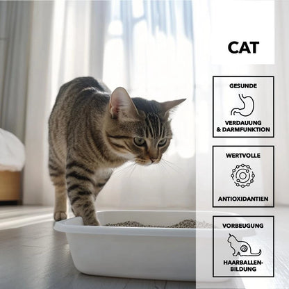 Herosan entoVITAL CAT gastro intestinal Paste 70g
