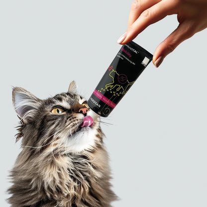 Herosan entoVITAL CAT mobility Paste 70g
