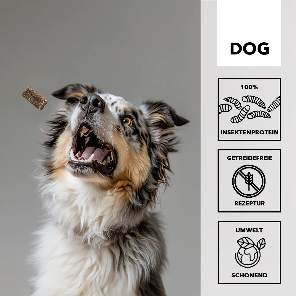 Hersoan entoVITAL Soft Snacks hypoallergenic DOG 100g