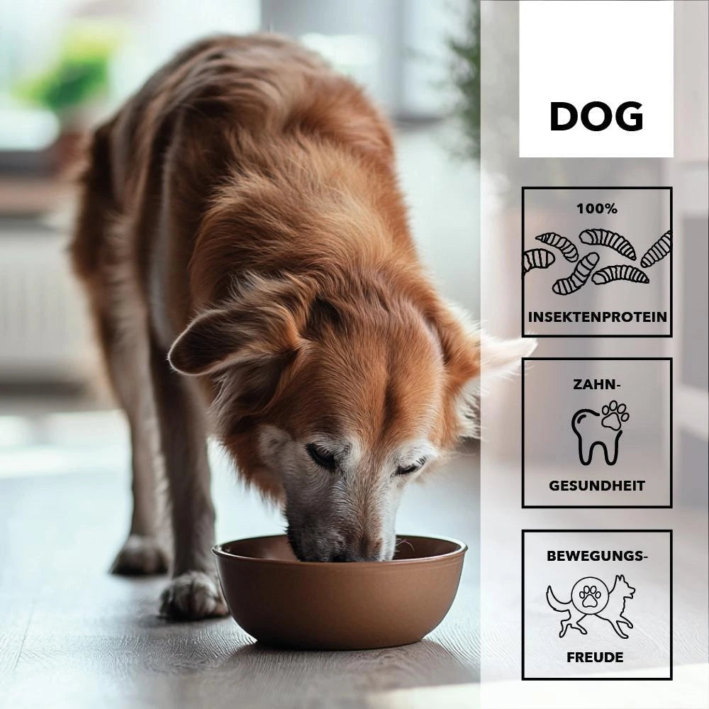 Herosan entoVITAL DOG Senior