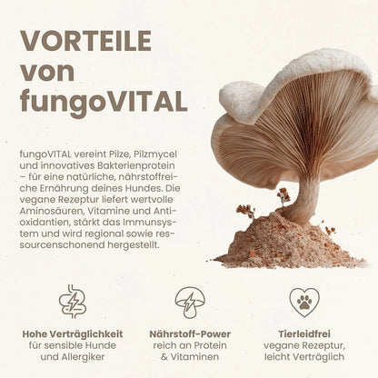 Hersoan fungoVITAL WaldMenü Trockenfutter