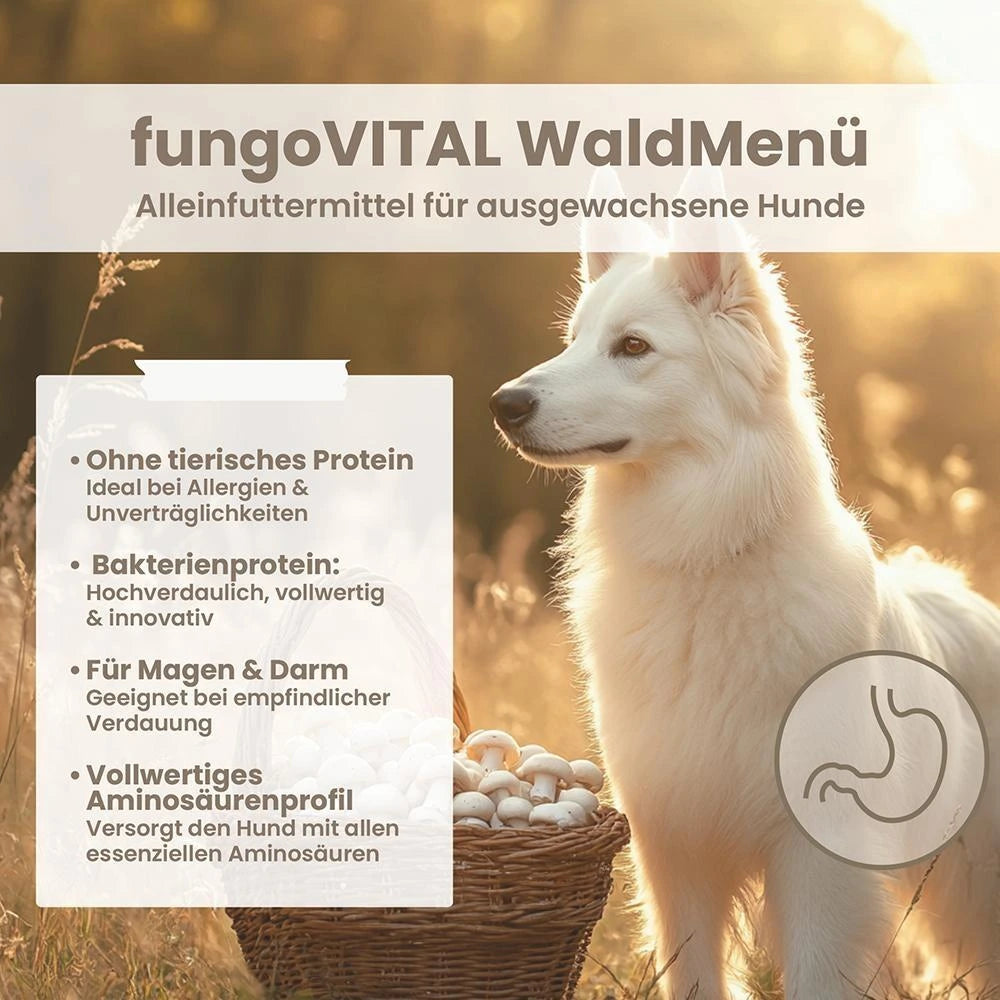 Hersoan fungoVITAL WaldMenü Trockenfutter