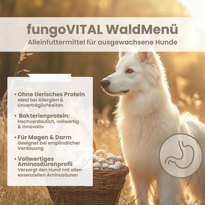 Hersoan fungoVITAL WaldMenü Trockenfutter