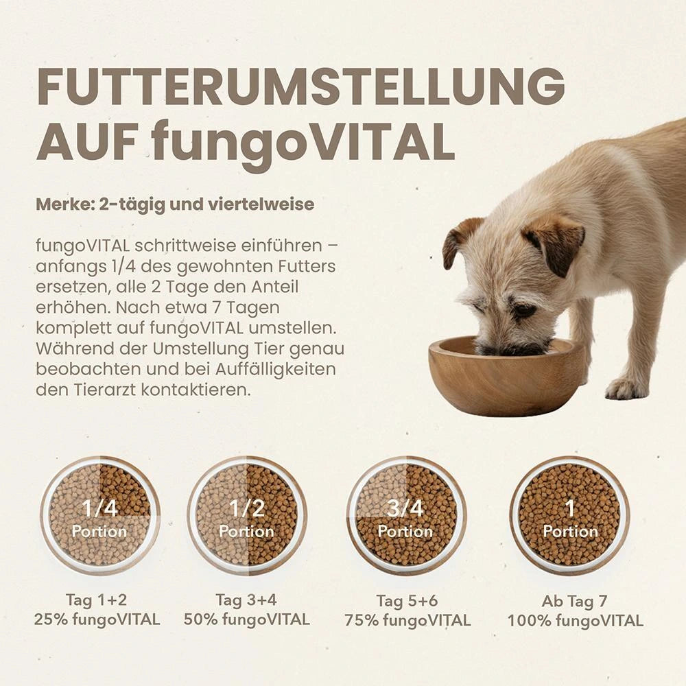 Hersoan fungoVITAL WaldMenü Trockenfutter