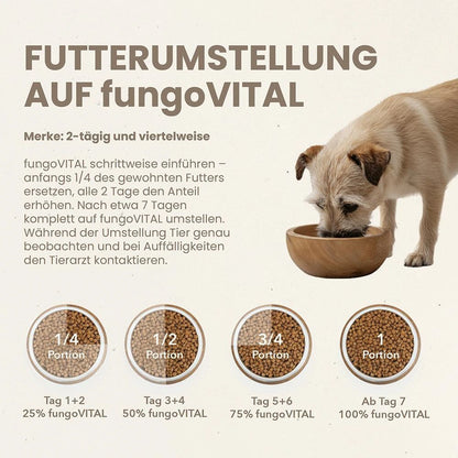 Hersoan fungoVITAL WaldMenü Trockenfutter