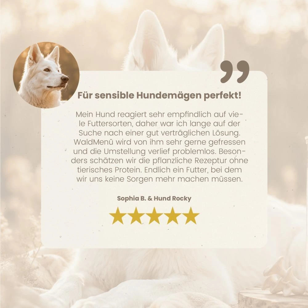 Hersoan fungoVITAL WaldMenü Nassfutter 400g