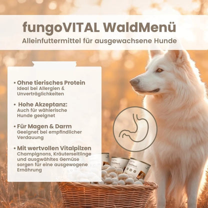 Hersoan fungoVITAL WaldMenü Nassfutter 400g