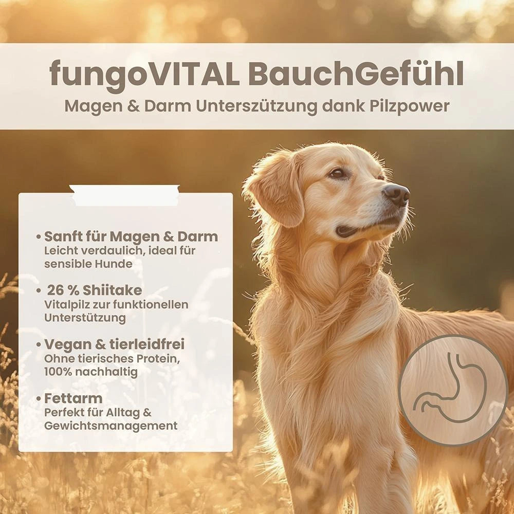 Hersoan fungoVITAL Bauchgefühl 100g