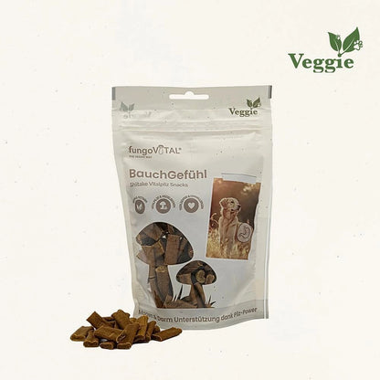Hersoan fungoVITAL Bauchgefühl 100g