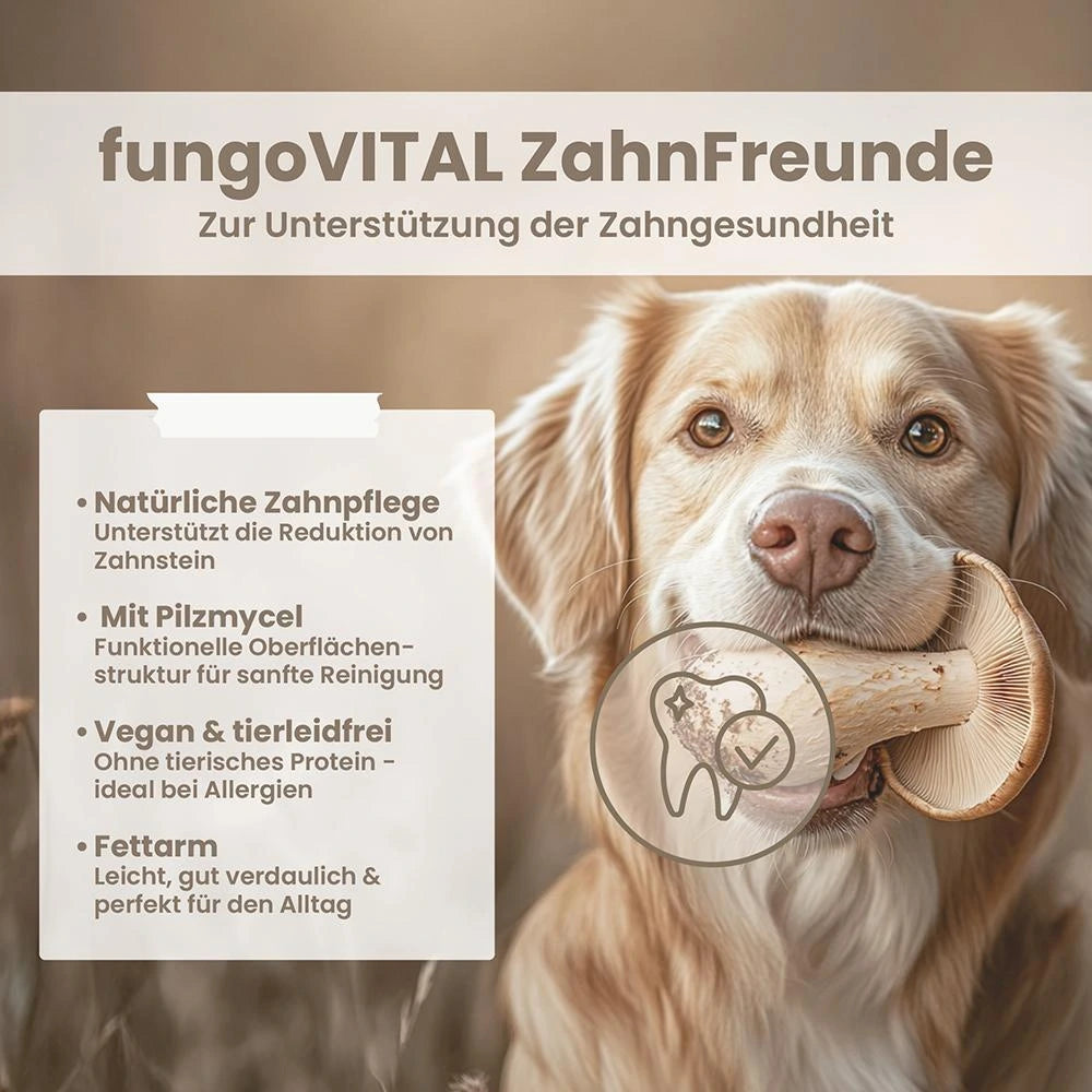 Hersoan fungoVITAL ZahnFreunde 180g