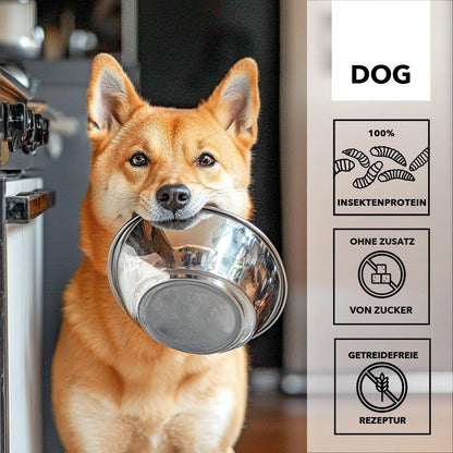Hersoan entoVITAL DOG Sensitiv Nassfutter