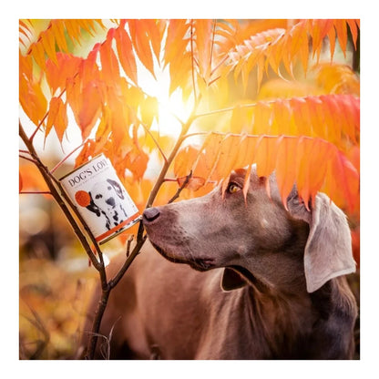 DOG'S LOVE ADULT Rind