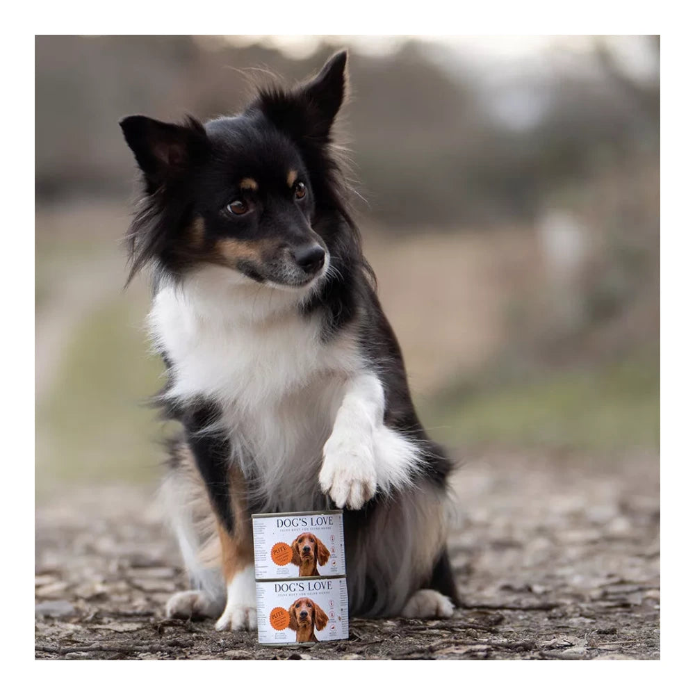 DOG'S LOVE ADULT Pute 800g