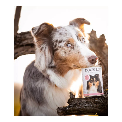 DOG'S LOVE ADULT Hypoallergen Pferd 400g