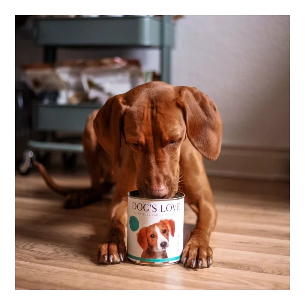 DOG'S LOVE ADULT Ente 800g
