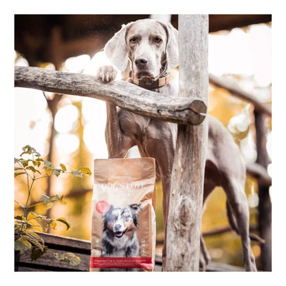 DOG'S LOVE TROCKEN Adult Rind