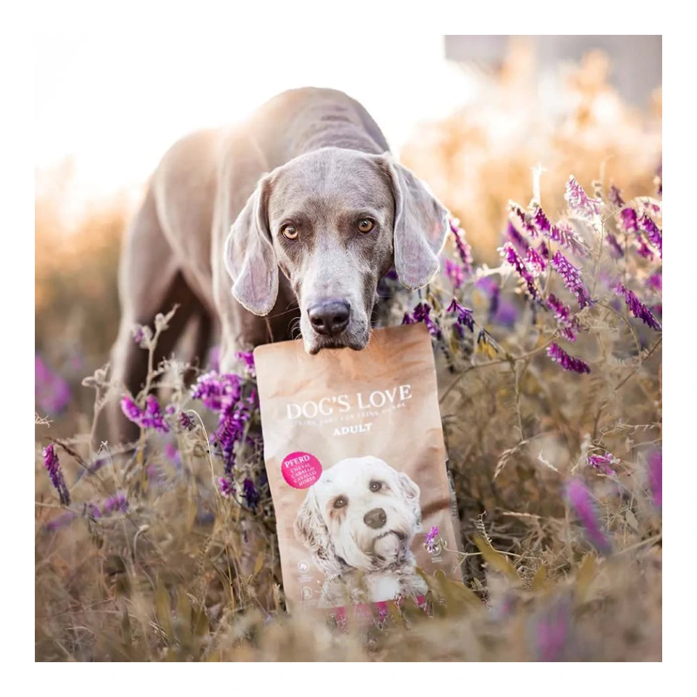DOG'S LOVE TROCKEN Adult Pferd