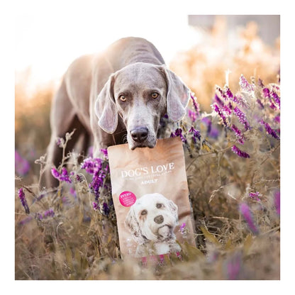 DOG'S LOVE TROCKEN Adult Pferd