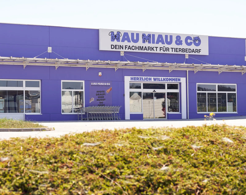 Wau Miau & Co Oberwart