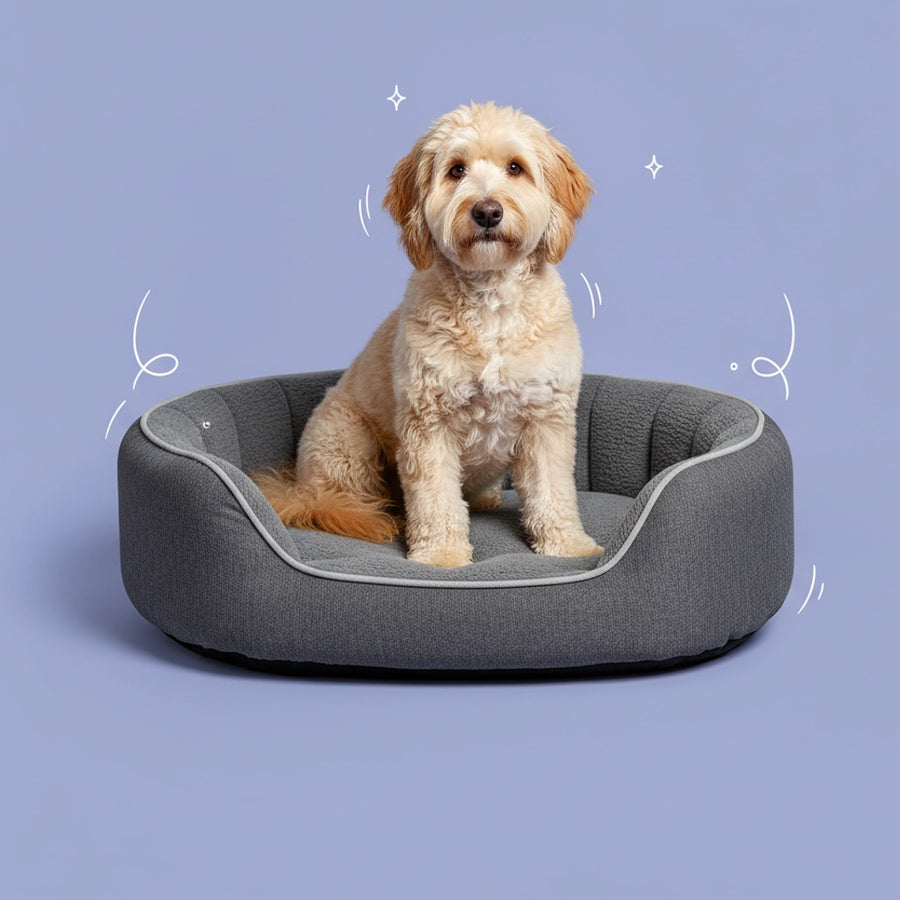 Hundebetten