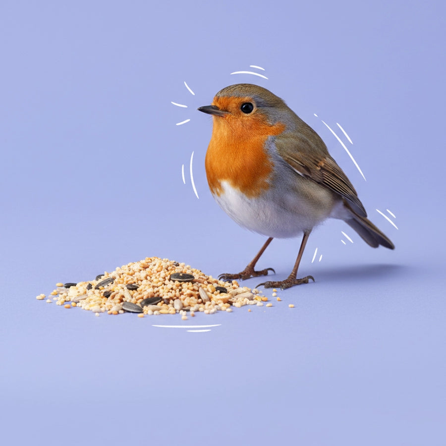 Wildvogelfutter