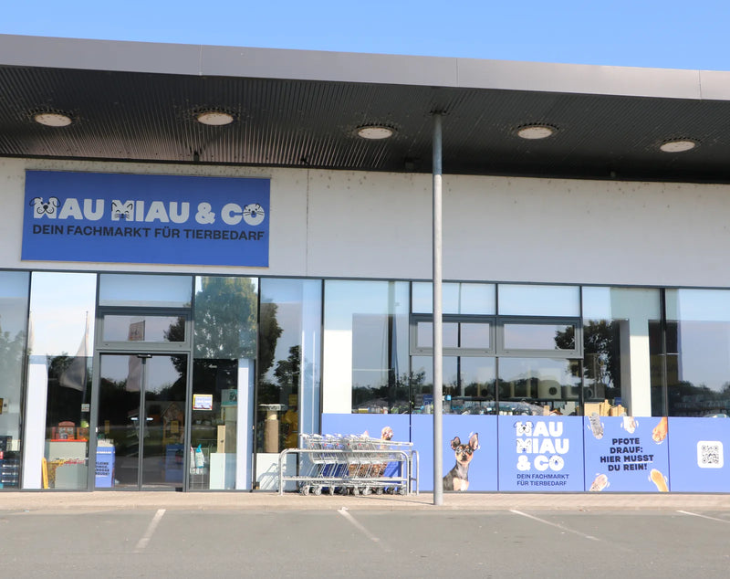 Wau Miau & Co Vogau